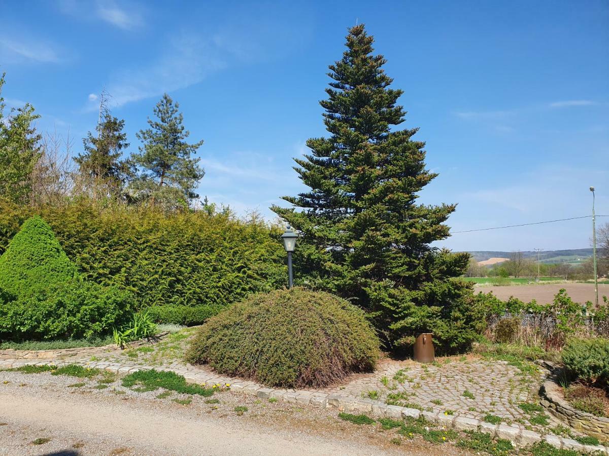 Villa Kliche Przerzeczyn-Zdroj Eksteriør billede