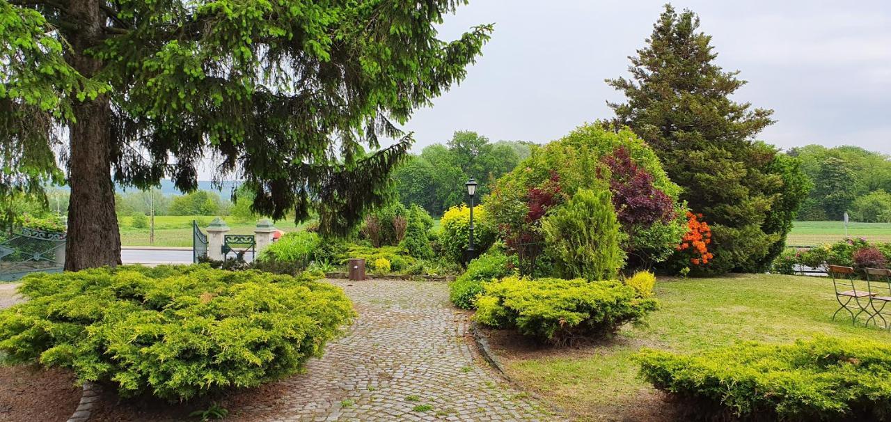 Villa Kliche Przerzeczyn-Zdroj Eksteriør billede